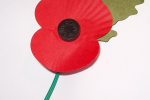 The Royal British Legion's Poppy Appeal